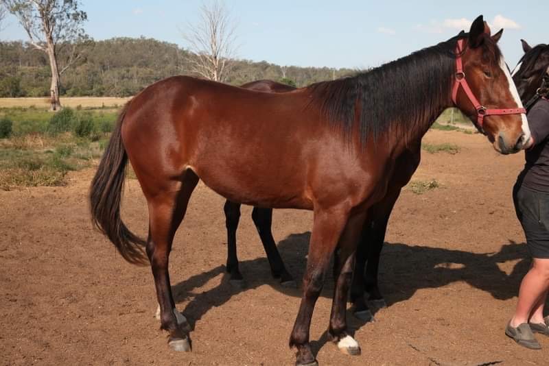 Wingnut Farms tweet media