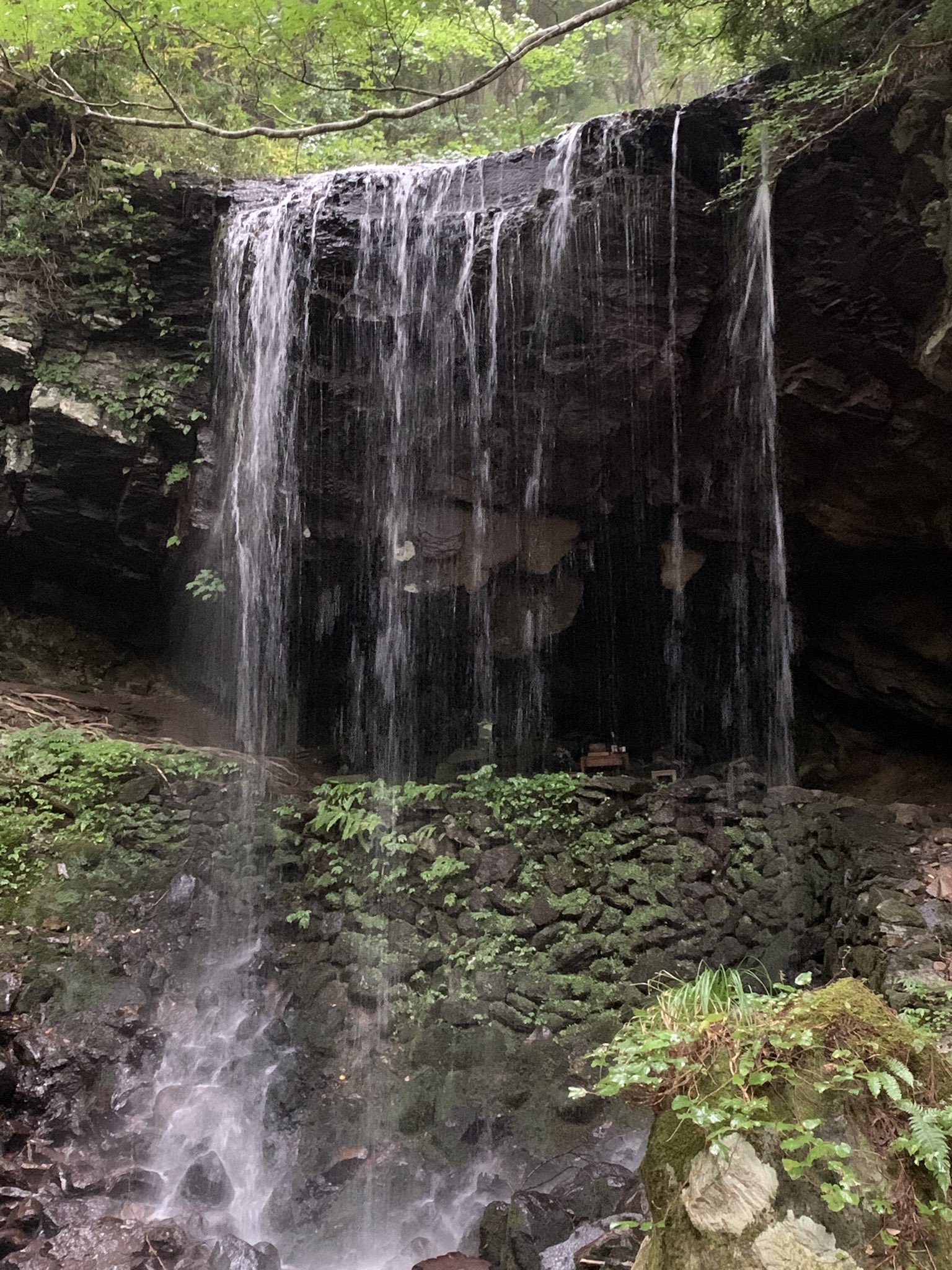野村仁志 金土と岡山県へバスツアーへ 緊急事態宣言下ではあるがコロナ対策はしっかりと 金曜日は岩井滝 別名裏見の滝へ 滝の裏側を見れるからこの名称らしいけど 15分ほどの登山が死ぬほどしんどかった 運動せなあかんわ T Co Ptjtlups4c