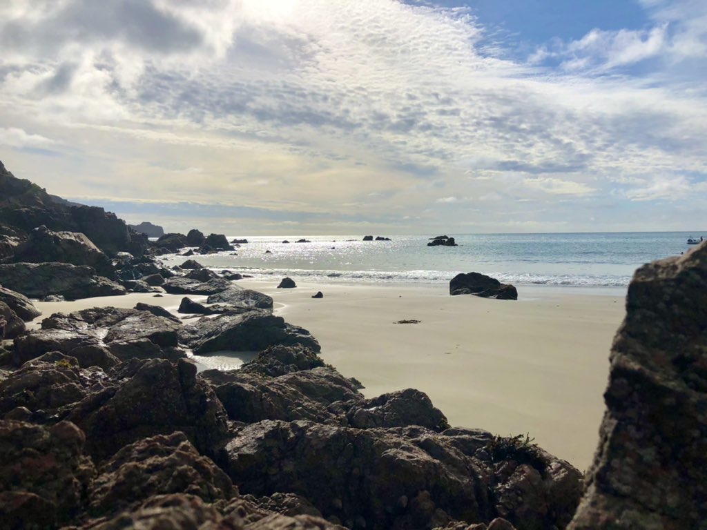 jennyfluff66's tweet photo. Fab morning swim #petitbot https://t.co/5hwGzTwrWI