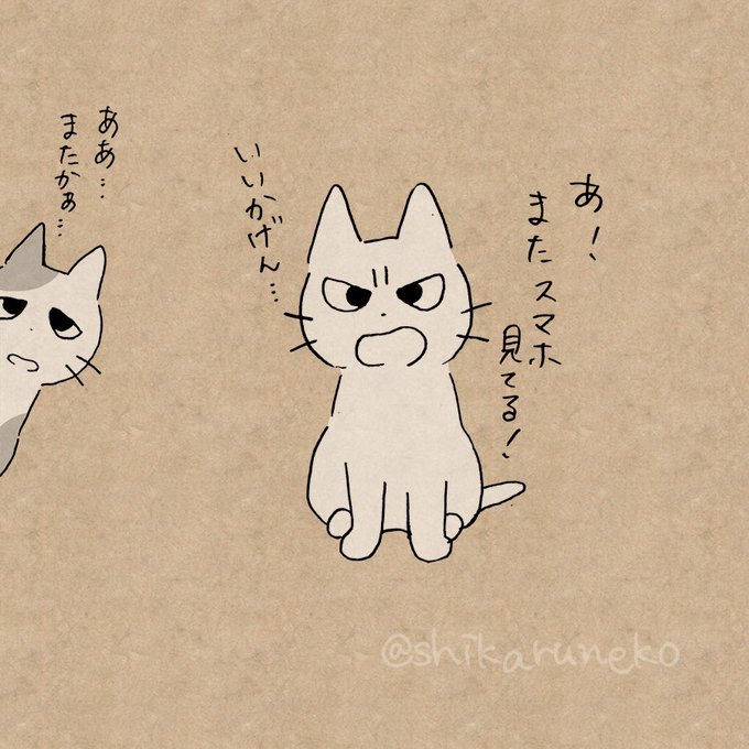しかるねこ S Recent Tweets 4 Whotwi Graphical Twitter Analysis しかるねこ S Recent Tweets 4 Whotwi Graphical Twitter Analysis