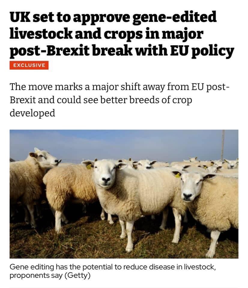 MartineMavi's tweet photo. FARMERS 🇬🇧 WILL HAVE TO PAY USA 🇺🇸 GENE TECH COMPANY MONSANTO WHO PATENT THE GENES 😳😳😳 #WTAFF #DISGUSTING #JohnsonOut #JohnsonMustGo #JohnsonHasFailedTheNation #BrexitFoodShortages #BrexitIsNotWorking 🤮🤮😪😪😪🤬🤬🤬🤬🤬🤬🤬🤬🤬🤬🤬🤬🤬🤬🤬☹️☹️☹️☹️☹️ https://t.co/JFYOC7um0r