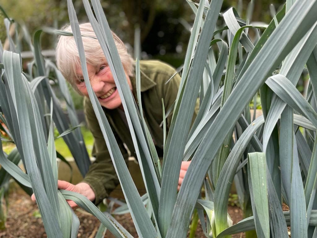6 days till the Tang Hall Leek (&amp; other random vegetable) Show 2021

This Saturday
@tanghallcommunity
12 - 1 30pm 

The competition will be fierce! (maybe) 
The judging ruthless! (possibly)
The prizes unbelievable! (probably not)
&amp; free cake for all entries (definitely) 

x