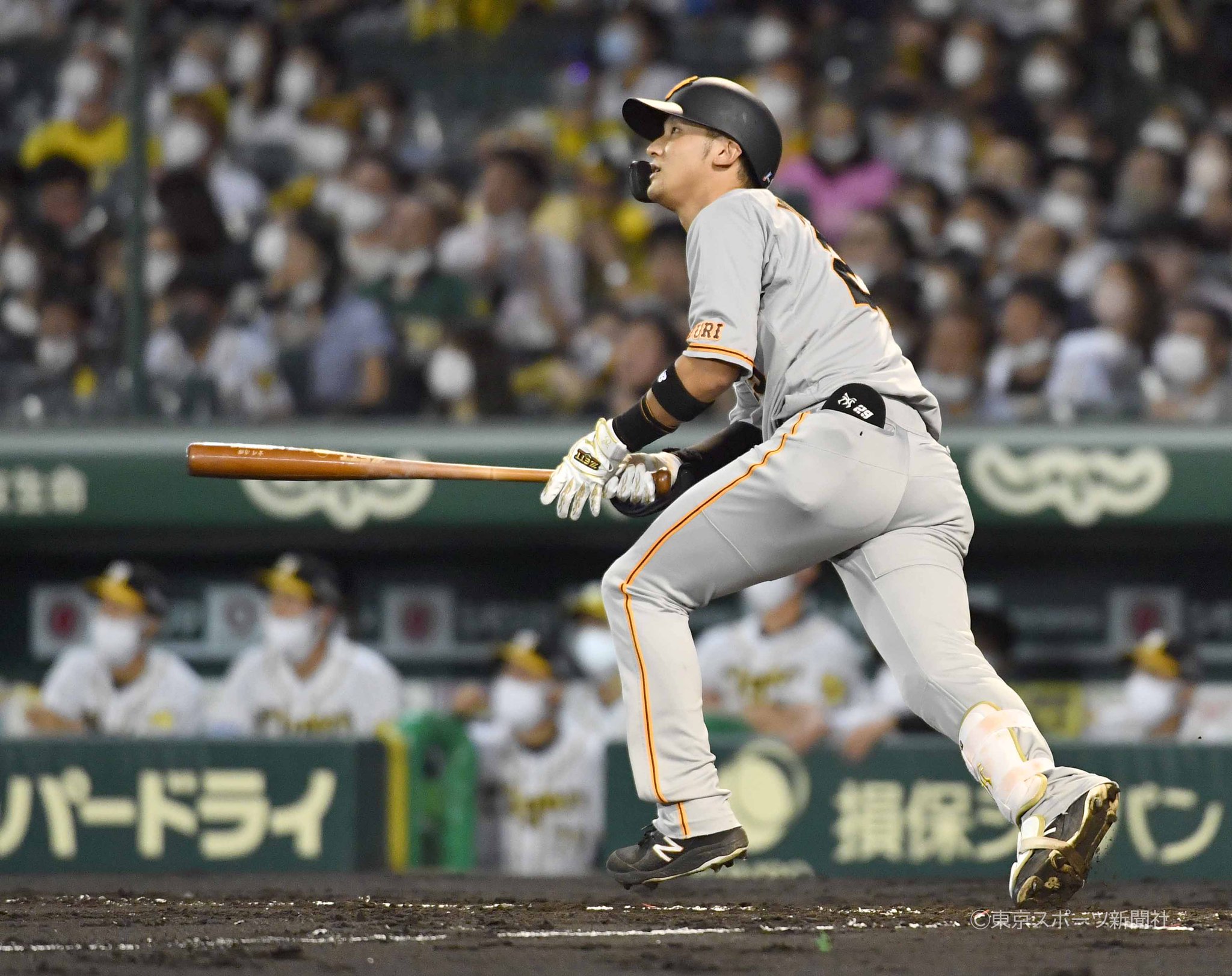 読売ジャイアンツ | #奪回 #菅野智之 投手 #吉川尚輝 選手 #岡本