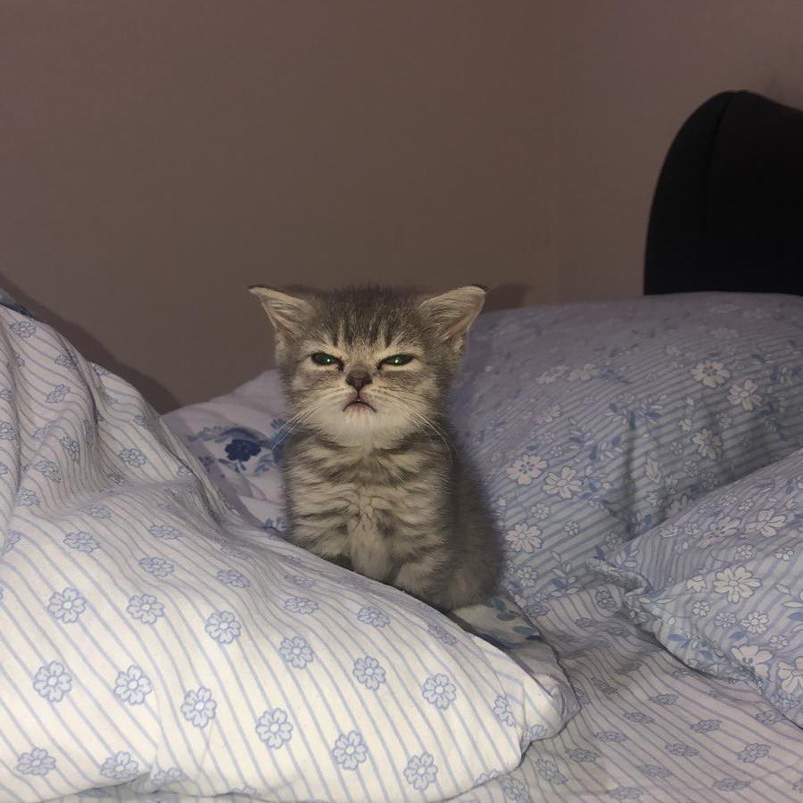 me waking up to another day of the same shit