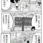 ツイートに含まれる画像