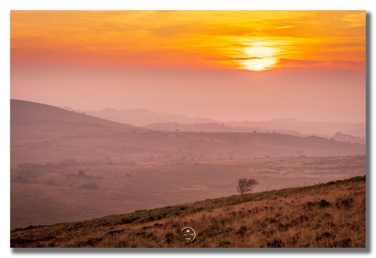 Morning! What did you think of last week's photos? Which was your fave?
If you enjoy my photos, I'd love a RT! 🙏

1. Sunrise at Haytor
2. Dusk over the Mewstone
3. Foggy Widecombe morning
4. Misty Dartmoor sunrise
#SundayMorning #Devon #photographylovers #SundayMotivation