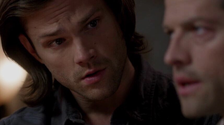 sam’s nose (@dailysamnose) on Twitter photo 