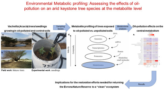 mdde (@mddebgu) on Twitter photo Did you know that #Oil #Pollution Affects the Central #Metabolism of #Keystone #Vachellia (#Acacia) Trees?
Interesting new article by Marco Ferrante, <a href="/anumadangol/">Anuma Dangol</a>, Shoshana Didi-Cohen, Gidon Winters, <a href="/PlanTzin_lab/">Vered Tzin</a> and <a href="/Michal_Segoli/">Michal Segoli</a>
mdpi.com/1146402 via <a href="/MDPIOpenAccess/">MDPI</a> Did you know that #Oil #Pollution Affects the Central #Metabolism of #Keystone #Vachellia (#Acacia) Trees?
Interesting new article by Marco Ferrante, <a href="/anumadangol/">Anuma Dangol</a>, Shoshana Didi-Cohen, Gidon Winters, <a href="/PlanTzin_lab/">Vered Tzin</a> and <a href="/Michal_Segoli/">Michal Segoli</a>
mdpi.com/1146402 via <a href="/MDPIOpenAccess/">MDPI</a>