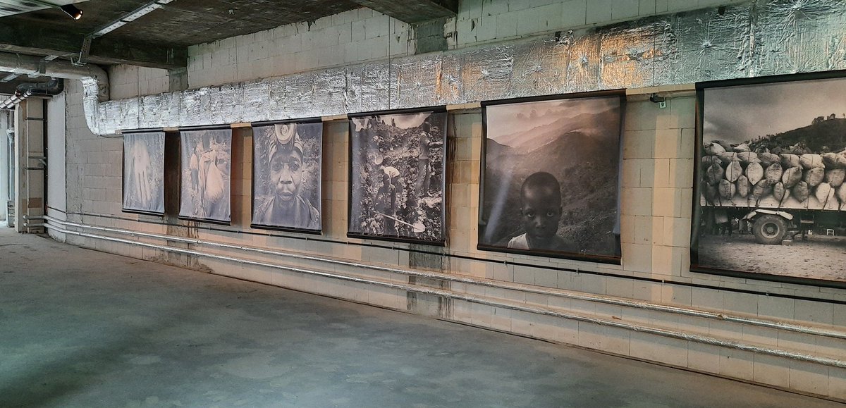 We can't live w/o our smartphone anymore -
the exhibition #sevengramms tells stories how the necessary rare metals are mined in the DRC⛏
The VR experience is coming to the app store soon. Can recommend it.
👉sevengrams.org/home/
@KBenK <a href="/LucidRealities/">Lucid Realities</a> #silbersalzfestival