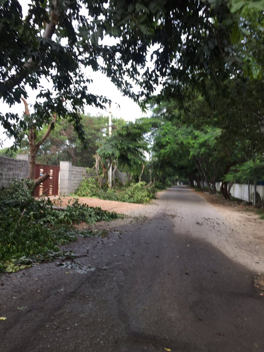 vinodiap's tweet photo. Hello @TsspdclCorporat could you please do something for save tree 🌲 as almost every 6 month you ppl are cutting trees, look like we have provision for cover wire or underground issues in Kalajoyti printing press or RV Panchajanya road pl have look image attached https://t.co/M2hbSMLNlY