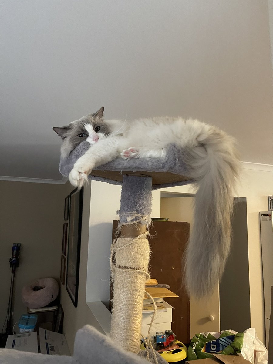 Miss Bailey enjoying a Sunday afternoon moment