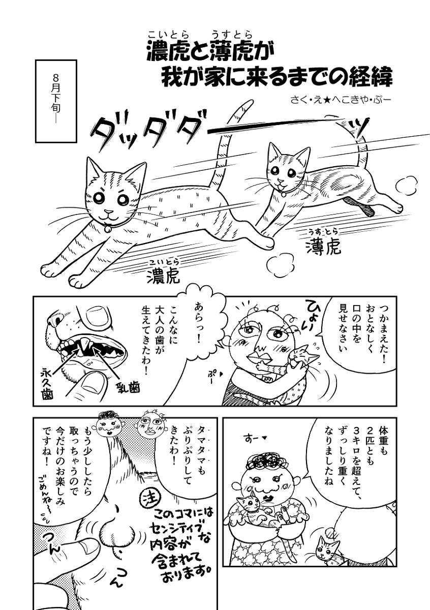 9/20(月/祝)コミティア137 お品書き #オリジナル #創作 #漫画 #日常漫画 #猫 #通販 #お品書き #サンプル #コミティア137 #COMITIA137 https://t.co/n7lOWWqzpu 