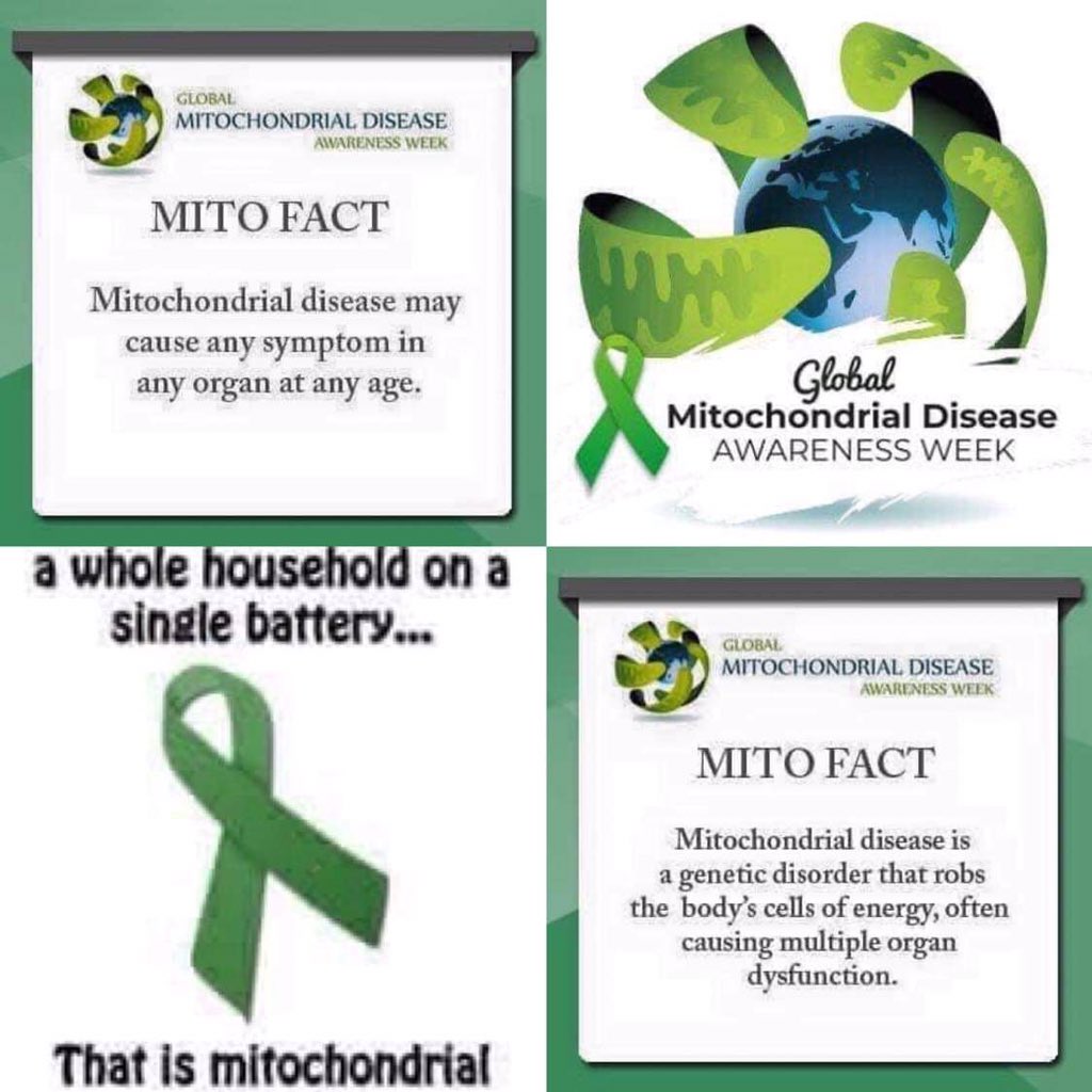 BevMoyle's tweet image. 