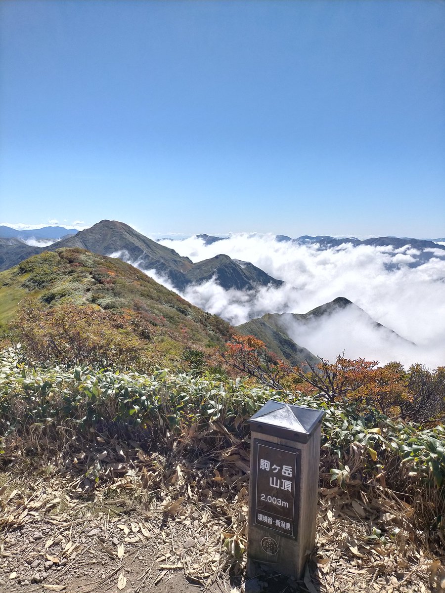 aotora2019's tweet photo. 久しぶりの快晴登山！ https://t.co/5nhdij32bn