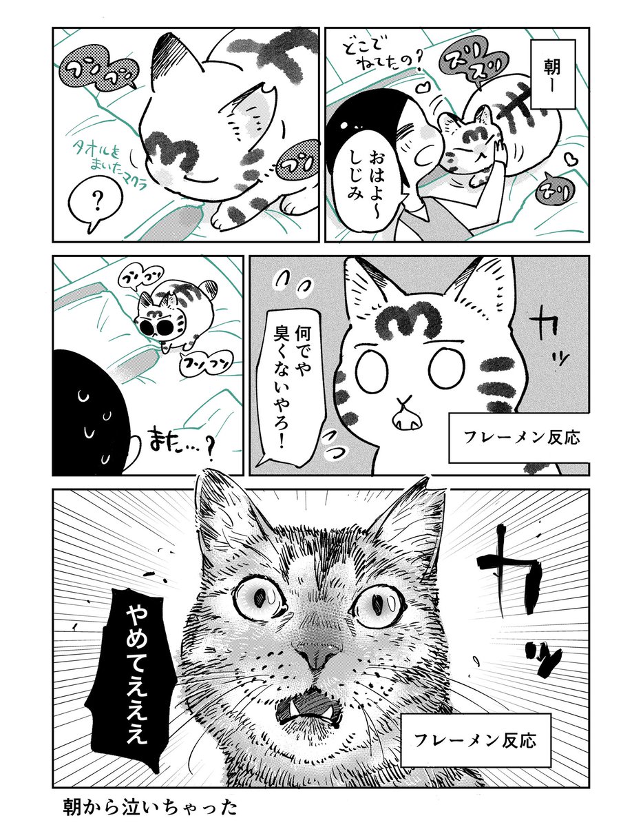 3本足のしじみちゃん147 