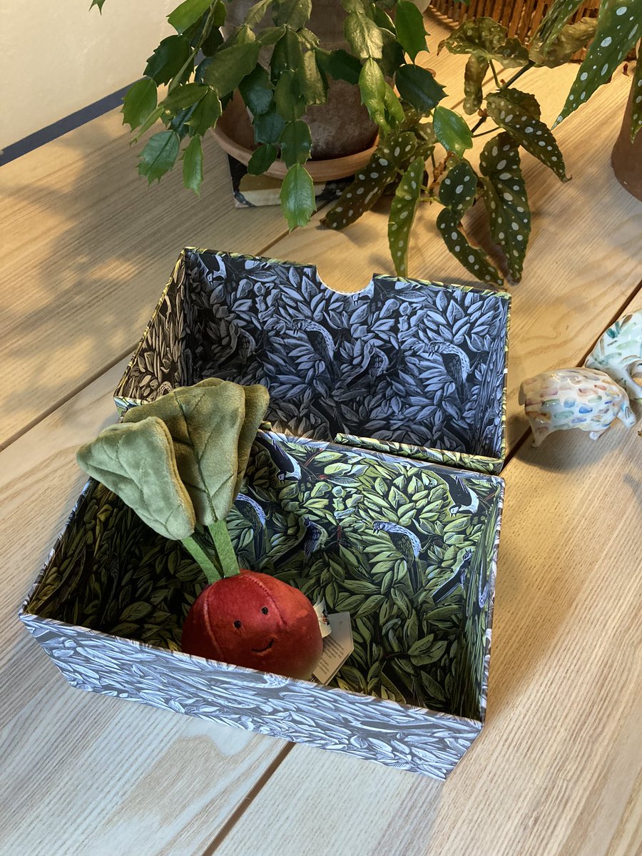 harryncking's tweet photo. Paper lined box for a happy radish https://t.co/maeWOea9Ek