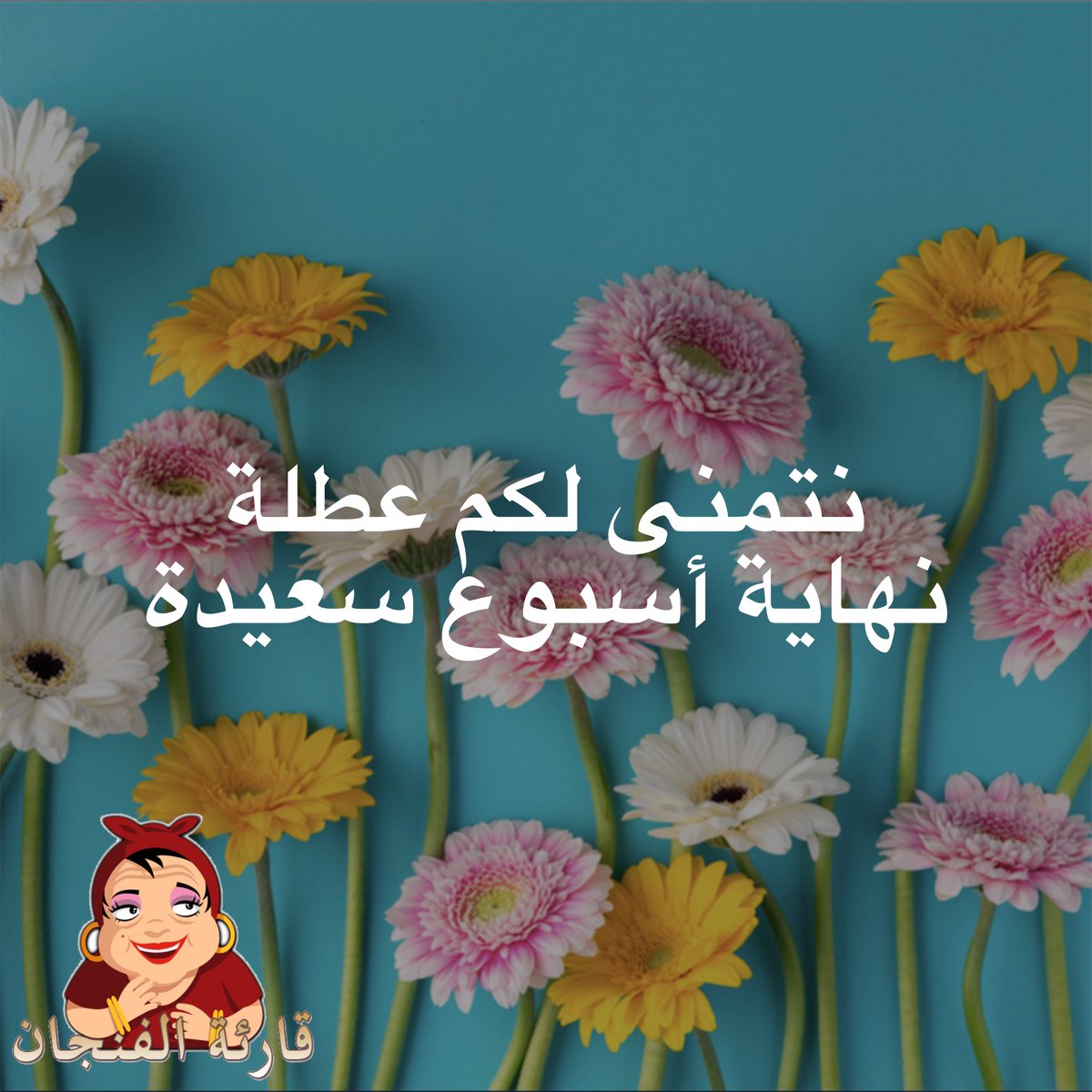 🙏🏼 #kaavefali #falcibaci #kaave #kaaveapp #turkishcoffee #coffee #coffeetime #coffeelover #goodmorning