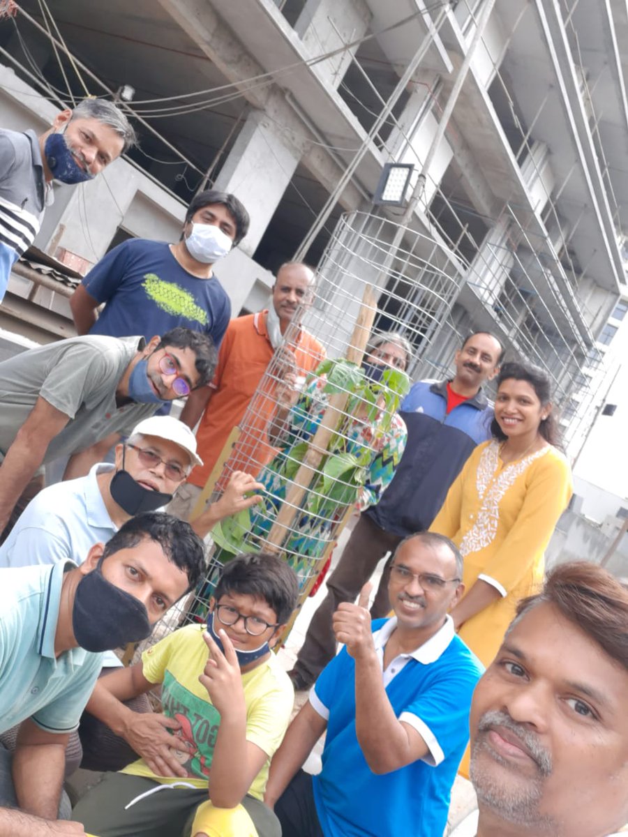 RathaHasiru's tweet photo. 5 sampige , 5 pink trumpet ,1 cadamba planted today . Location MM meridian Pramukh apartments near yediyur lake. Tree guard installed for one old sapling. #hasiruratha #Bengaluru #AdoptASapling #savetrees #environment #greenbangalore #mmmeridian #mmpramukh https://t.co/HwVIwaiPcI