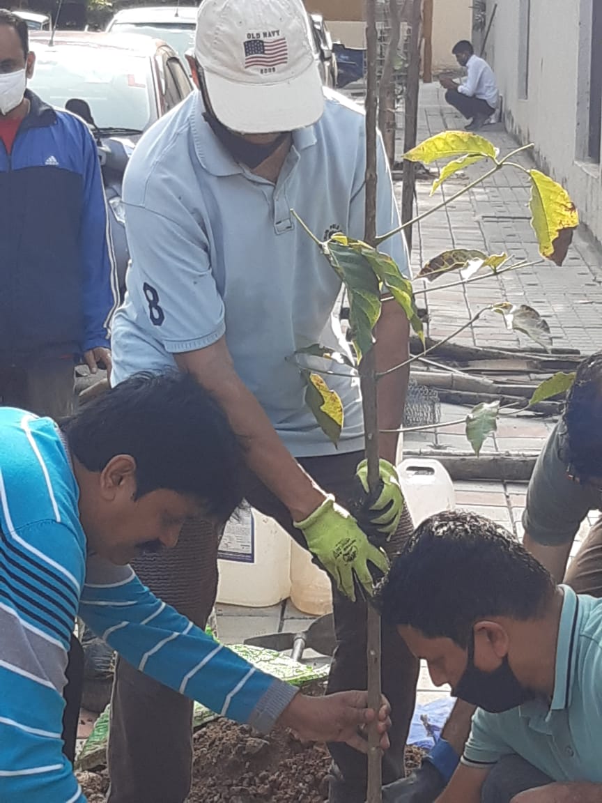 RathaHasiru's tweet photo. 5 sampige , 5 pink trumpet ,1 cadamba planted today . Location MM meridian Pramukh apartments near yediyur lake. Tree guard installed for one old sapling. #hasiruratha #Bengaluru #AdoptASapling #savetrees #environment #greenbangalore #mmmeridian #mmpramukh https://t.co/HwVIwaiPcI