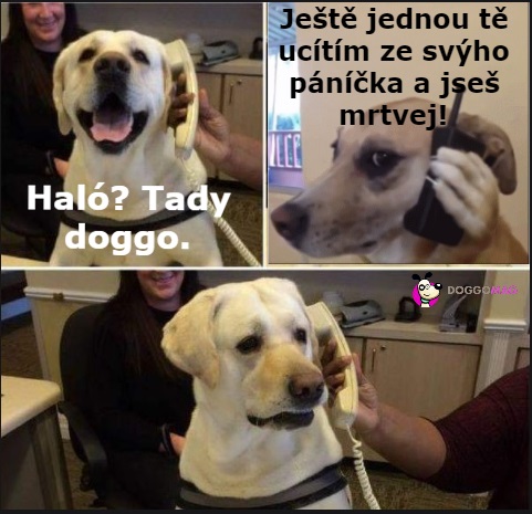 To si teda páníček dovolil moc... 😂 #doggomag #zivotsepsem #pes #psizivot #psimeme