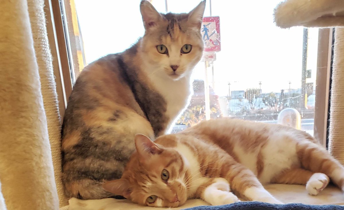 三連休中です🐾