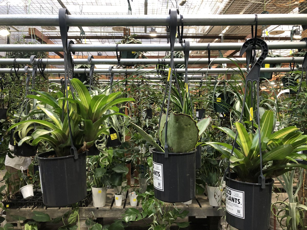 坂元 壮 Takeshi Sakamoto Sakagen 423 Twitter