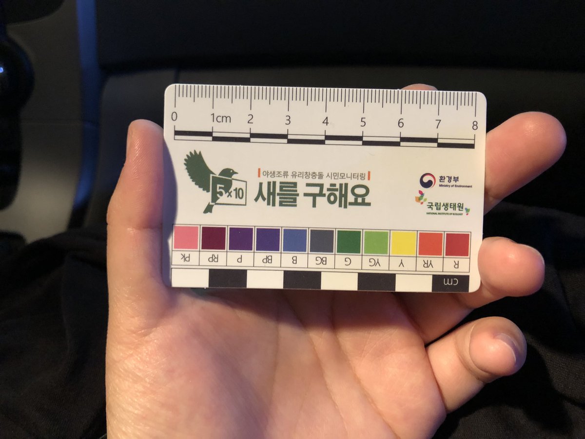 bado_kim's tweet photo. 국립생태원에서 배포하는 조류 유리창 충돌 조사 카드.. 건물이나 유리로된 방음벽 보다가 유리창 충돌로 죽은 새가 있으면 카드와 함께 찍어서 네처링에 올리면 된다. 그런데 이제 최소 신청이 30개 였어서 30장 생김.. 주변에 열심히 돌려야한다… 나 방구석 탐조인인데 어째… https://t.co/mKnAuacn97