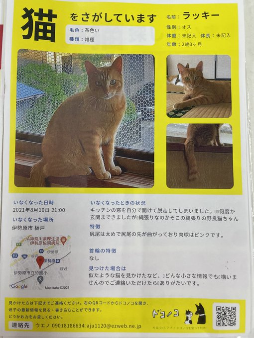 正看護師 医療法人 杏月会 伊勢原駅前クリニックの看護師 准看護師求人情報 正職員 神奈川県伊勢原市 転職ならジョブメドレー 公式