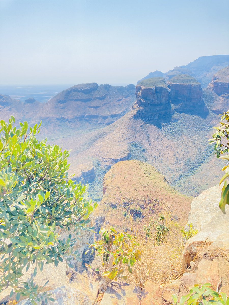 MthombeniMlu's tweet photo. @Mtpatourism @ShotLeft #discoverMp I took a shot left https://t.co/CW4GrU8SDM
