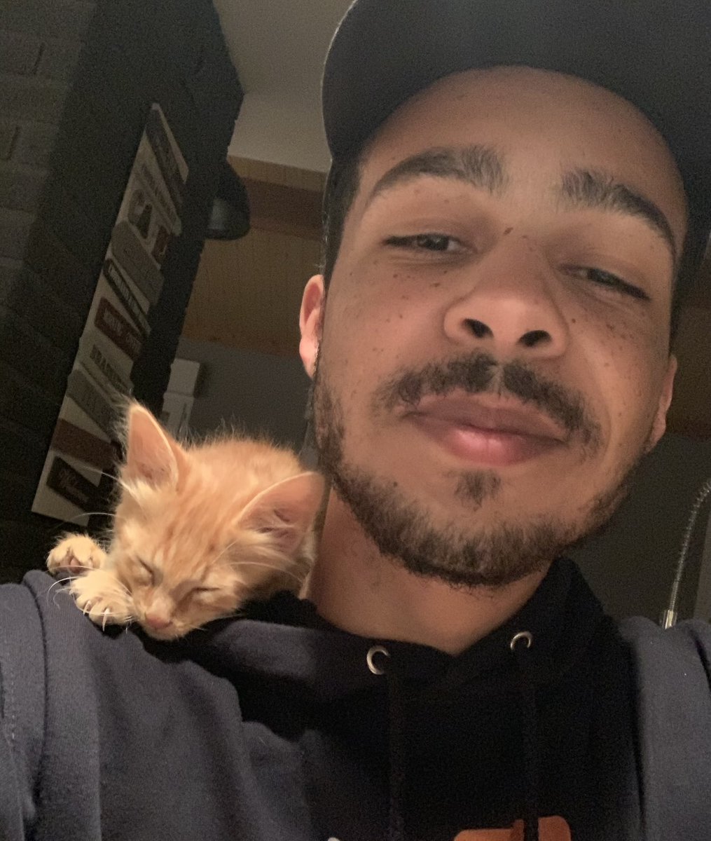 mastuu_'s tweet photo. Il y a deux ans jour pour jour, j’ai recueilli mon petit chaton Pumpkin 🎃 
Aucun regret, aujourd’hui c’est un beau bébé en bonne santé qui, même deux ans après, pisse encore sur mon lit https://t.co/FTEYS9zMRs