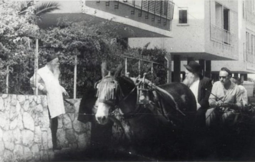 Kol_Anonymous's tweet photo. The Steipler (L) and Rav Chaim Kanievsky erev sukkos on picking up schach https://t.co/6komYm3Ev8