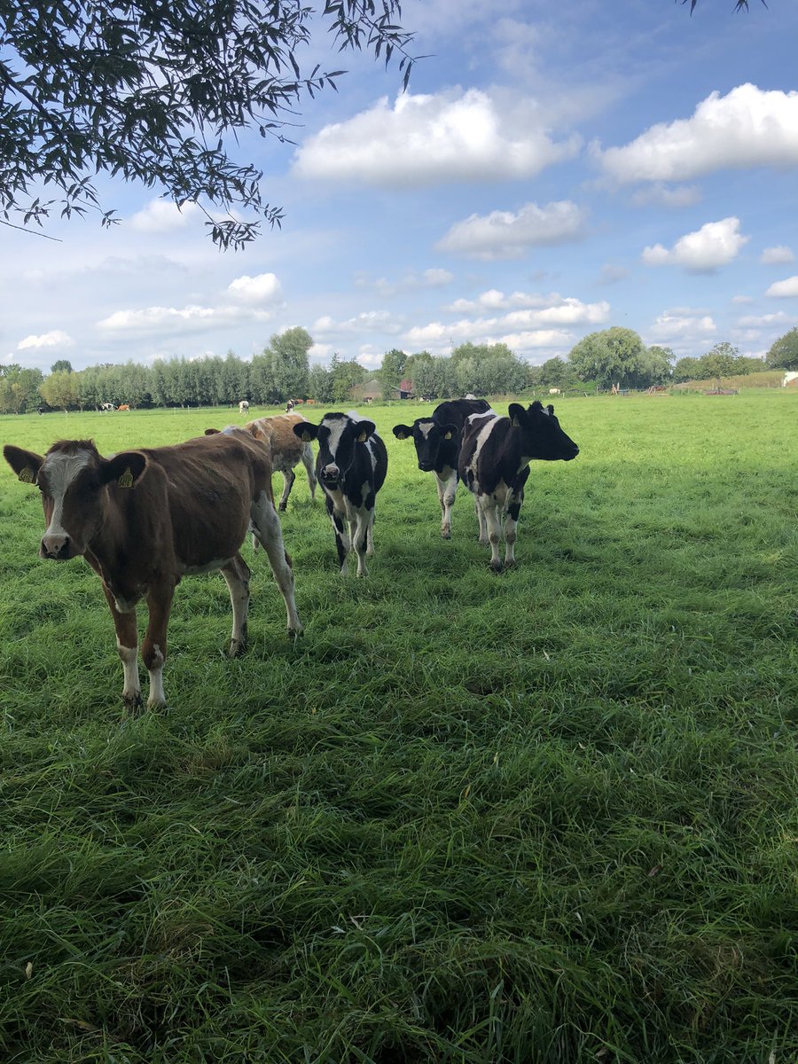 Deze prachtige beelden willen we toch niet gaan missen in Nederland?!