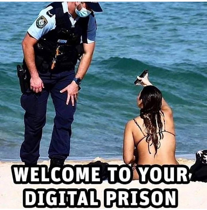 CelticNotorious's tweet image. 