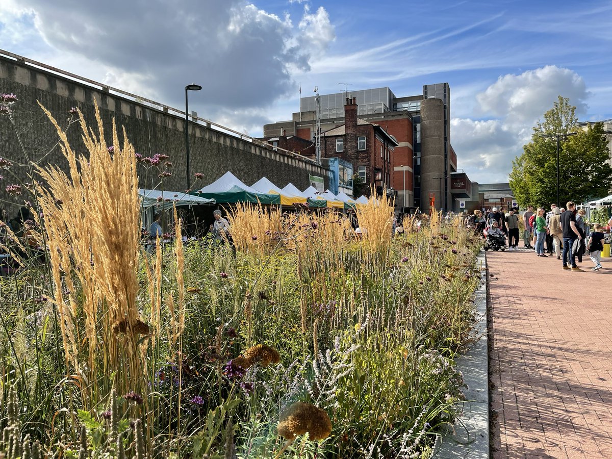 rowanlonghurst's tweet photo. #PollenMarket what a great event! What more could you want!? #vehiclefree #plants #beer #localbusiness #livemusic #SUDS #greytogreen @pollenmarket @talklandscape @LandscapeSheff @theoutdoorcity @VisitSheffield https://t.co/854QC9Kt0d
