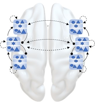 In patients with FTLD, Adams et al. quantify GABAergic impairment and its restoration with dynamic causal modelling of a double-blind placebo-controlled crossover pharmaco-MEG study. bit.ly/2V0PnDN