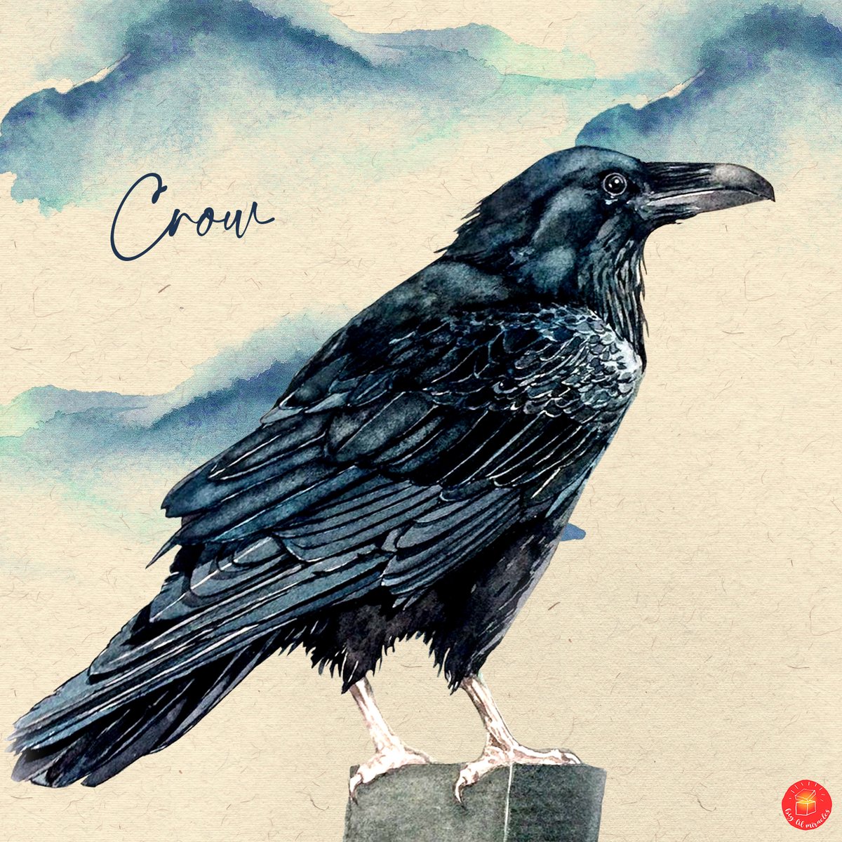 biglilmiracles's tweet photo. Crow Watercolor
.
.
.
#drawingbird #watercolorilustration #watercolorbirds #birdslovers #savewildlife #birdssave #birdsdiscover #naturalbirds #summerbirds #birds #collage #naturalcollage #crow #darkcrow https://t.co/JWgrH6BN9B