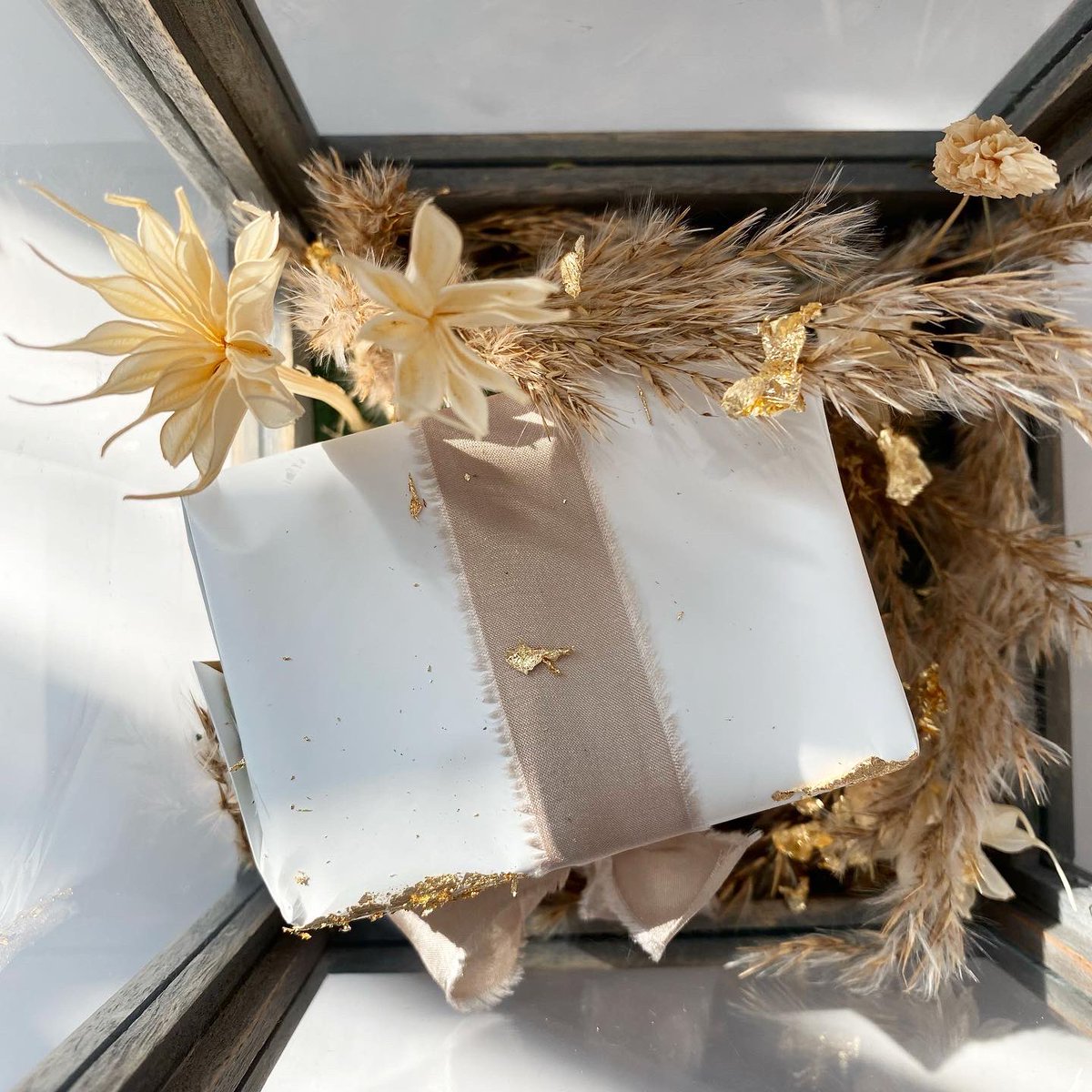 wrapful's tweet image. 🤎