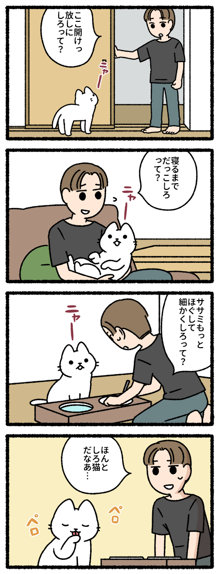 しろ猫 