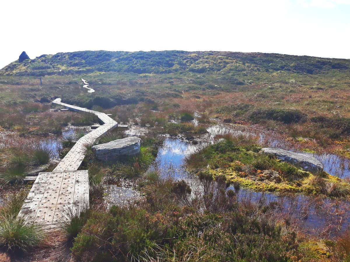 PatrikWeisser's tweet photo. Slieve Bloom Mountains. What a view. https://t.co/GHsQz2ZvLP