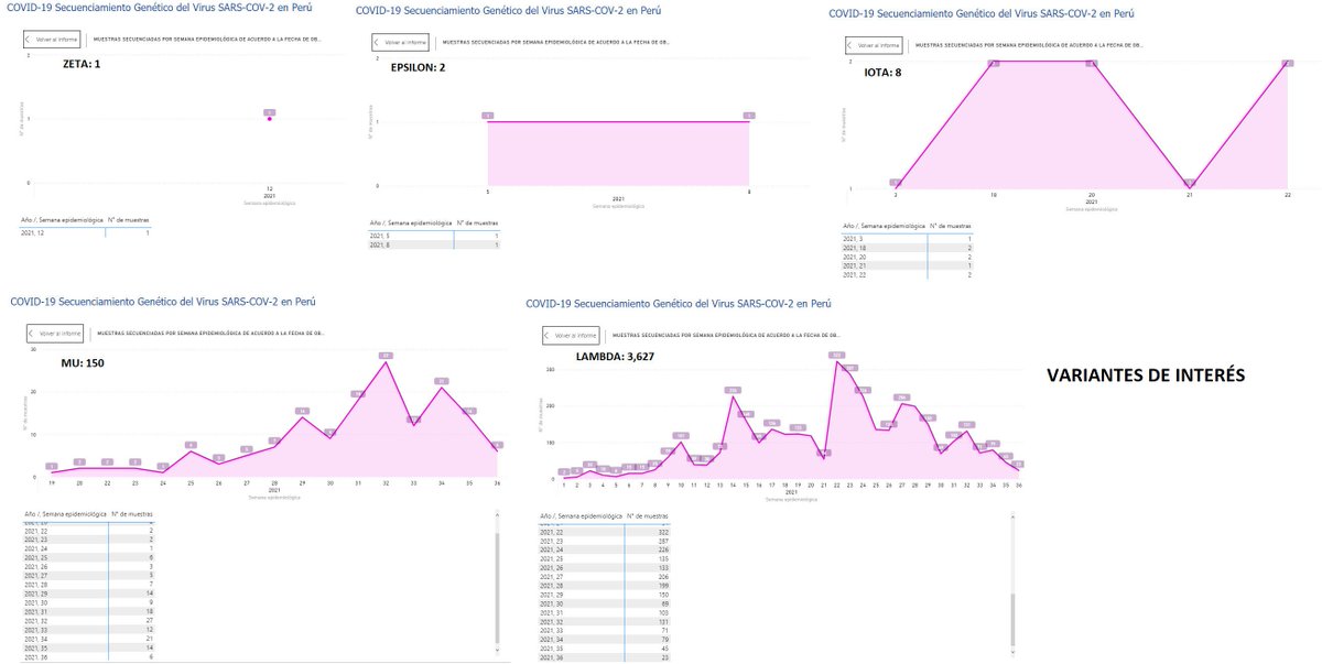 juank23_7's tweet image. #Actualización INS 17Set Escala Nacional🇵🇪
#LambdaVariant (Interés) y #Gamma (Preocupación) siguen siendo predominantes.
Tendencia de casos: DESCENSO📉

#VarianteDelta y #VarianteMu 
DESCENSO📉

📊VÉASE TENDENCIA por Semana Epidemiológica
Última Semana#36 (05/09 - 11/09)