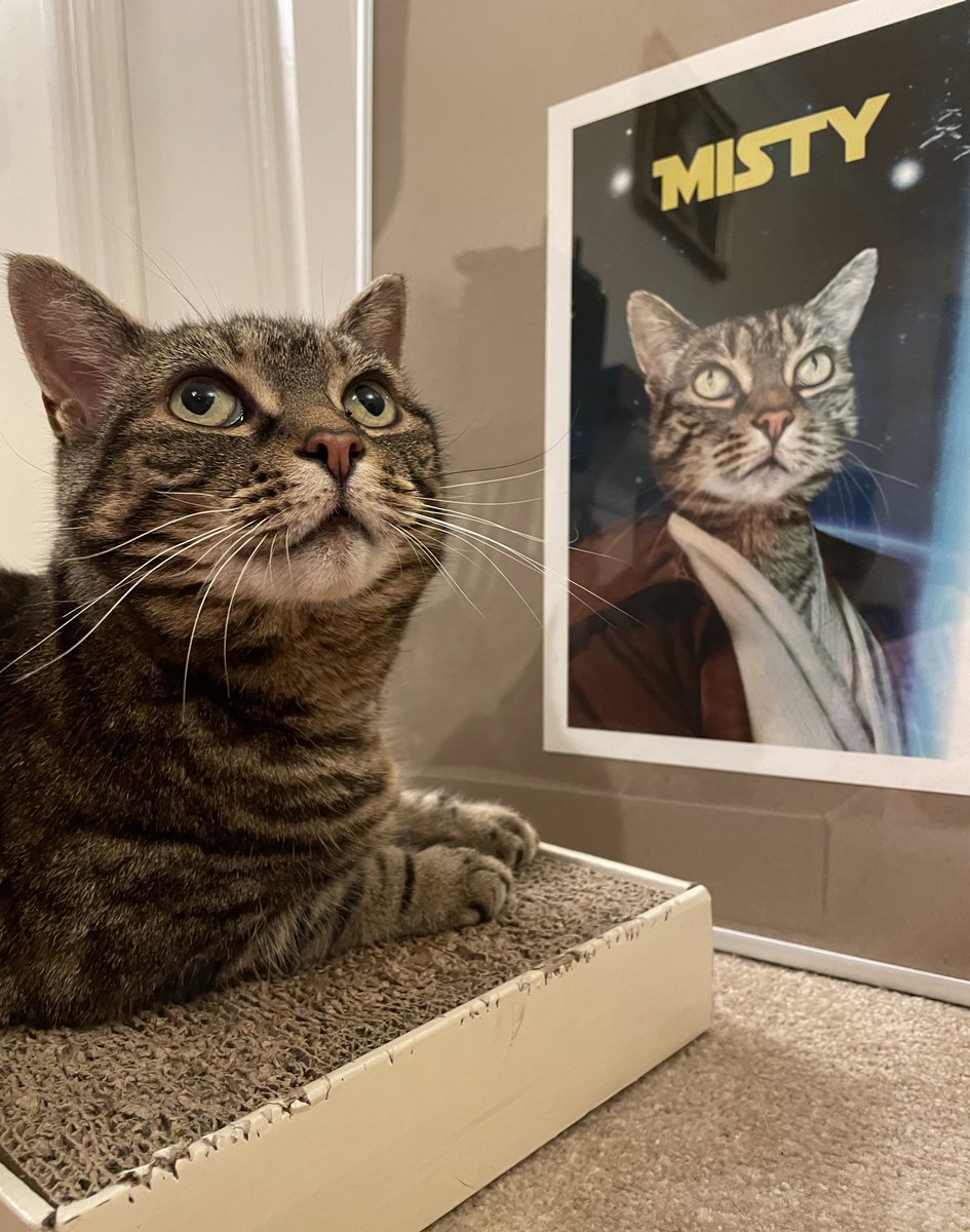 Finally got to introduce Misty to her <a href="/Purrandmutt/">Purr & Mutt</a> portrait last night - she was a little confused, but majestic as ever
