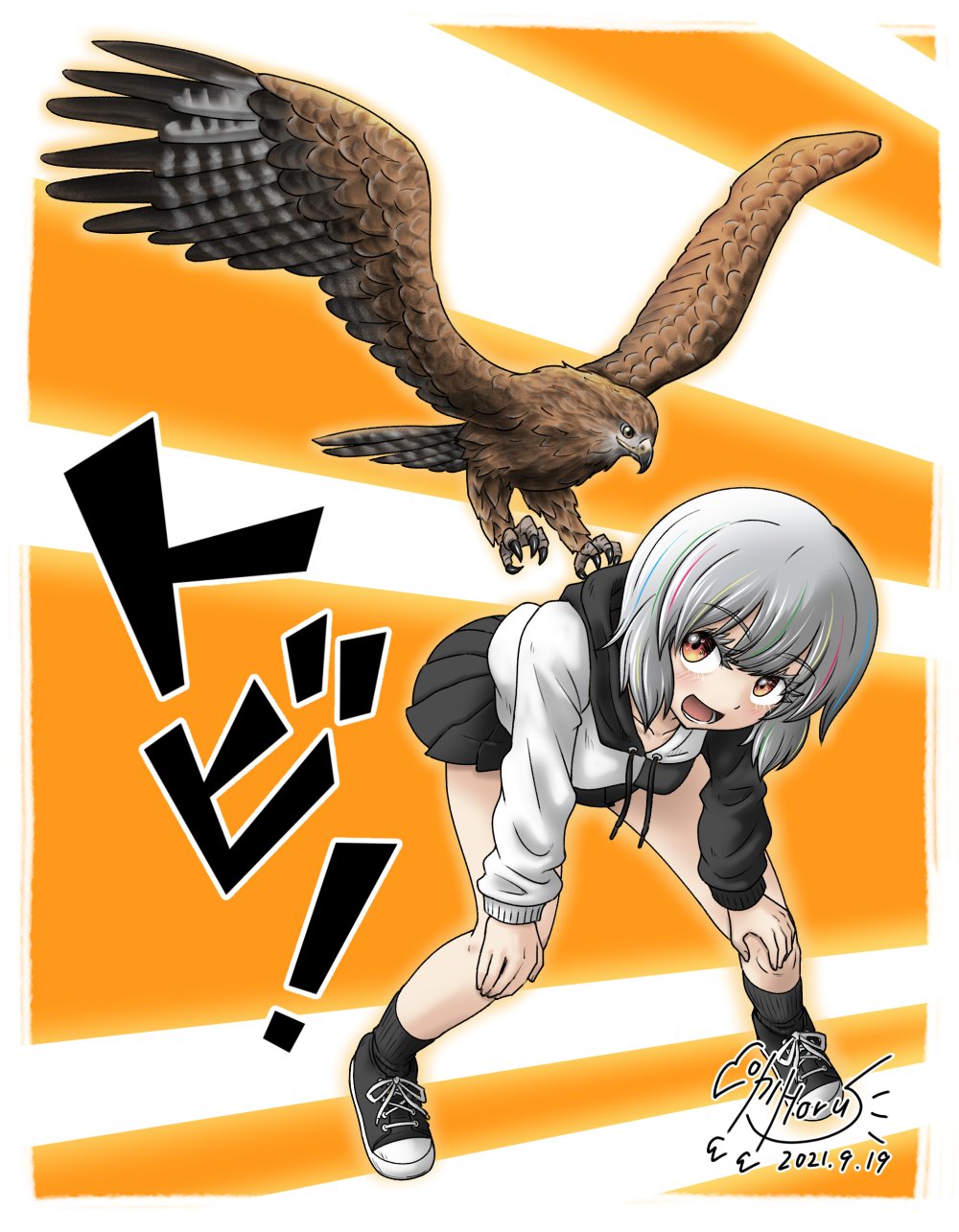 火鳥ホルス 今週の ダーウィンが来た は来ちゃった Spだよ トビ が出るみたいなので白雪ちゃんとトビ です またの名をトンビ イラスト 猛禽類 短歌少女 創作 T Co K7gh96fcbl Twitter