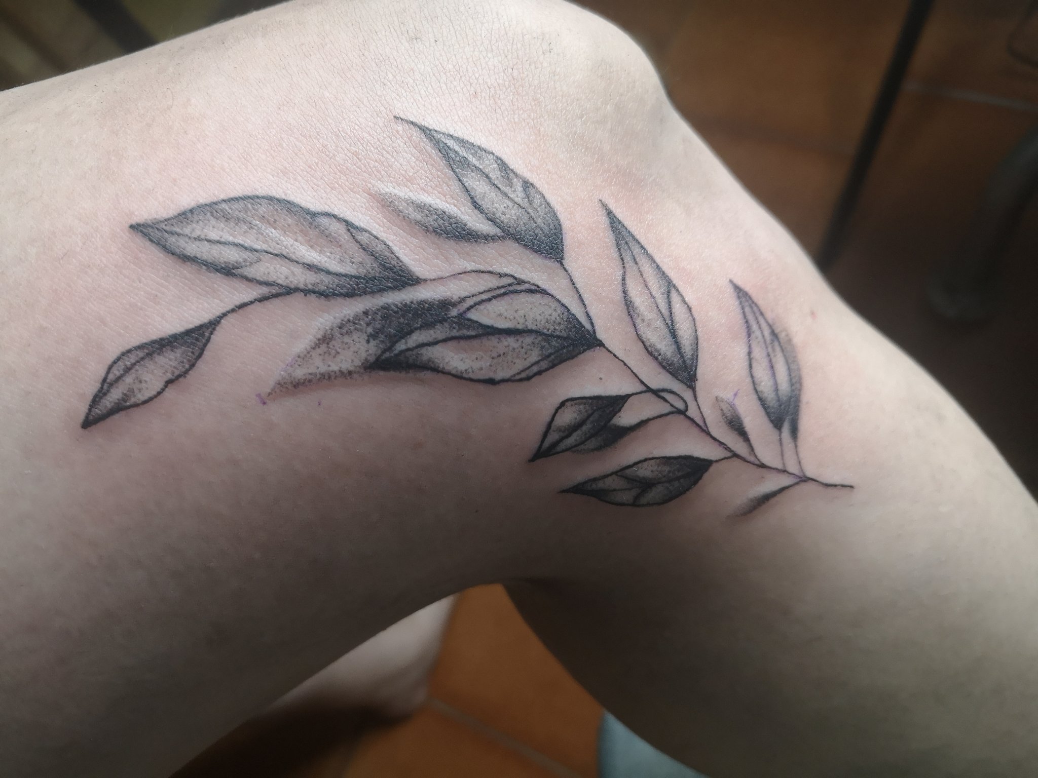 Tattoo tagged with oak leaf adamsage small leaf hand poked facebook  nature twitter shoulder  inkedappcom