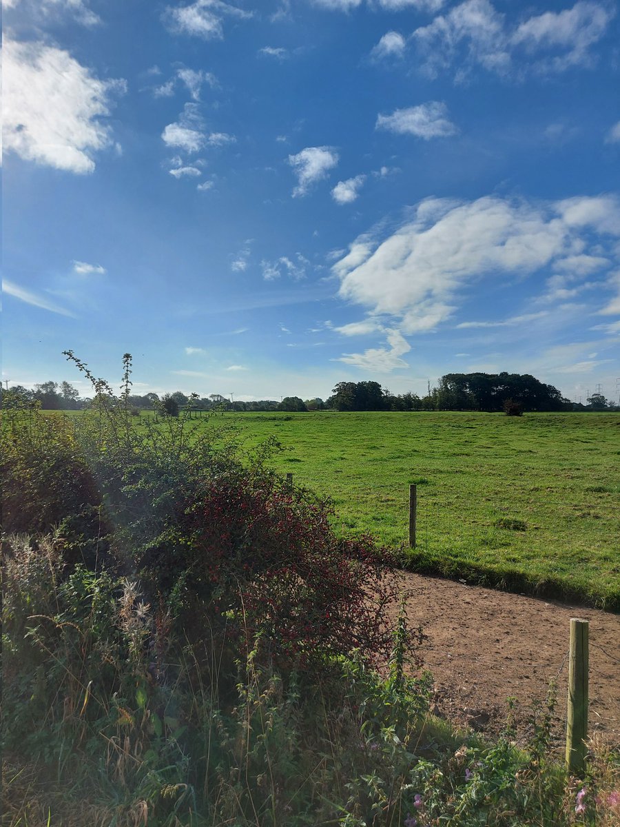 Lauren Kennedy (@lauren1kennedy) on Twitter photo Rare solo walk this morning getting in the steps to raise awareness for organ donation week! @raceforrecipients <a href="/CritcareLTHTR/">Critical Care LTHTR</a> <a href="/LTHTR_Therapy/">TeamTherapy_CrCu</a> Rare solo walk this morning getting in the steps to raise awareness for organ donation week! @raceforrecipients <a href="/CritcareLTHTR/">Critical Care LTHTR</a> <a href="/LTHTR_Therapy/">TeamTherapy_CrCu</a>