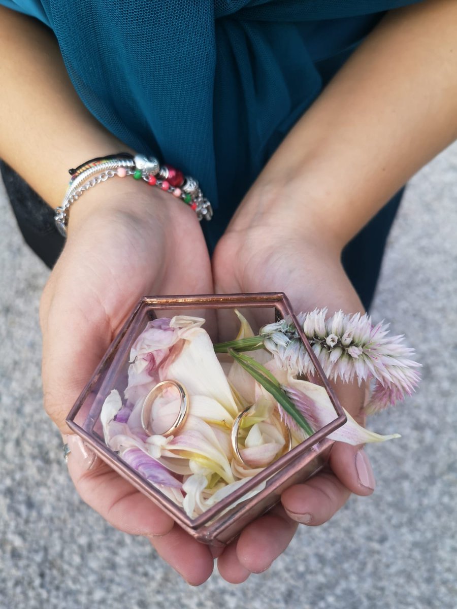 Luca Palmieri tweet media