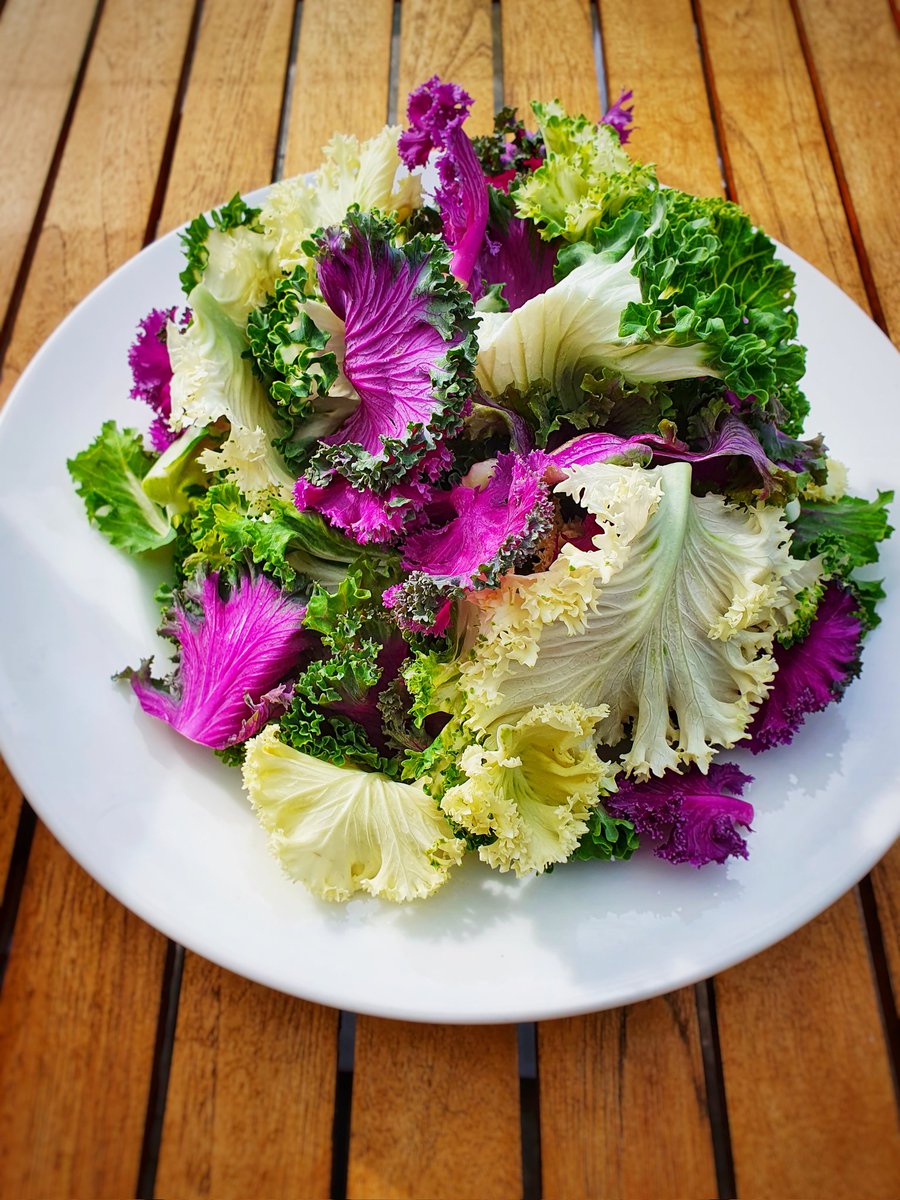 Yes I am a fully aware that this is a picture of kale! I just think it's awesome! Such colours, and the sign of the autumn months to come. Bring on the hearty cabbages, celeriacs and squashes! 👍#eattherainbow #eattheseasons #gettingwinterready
