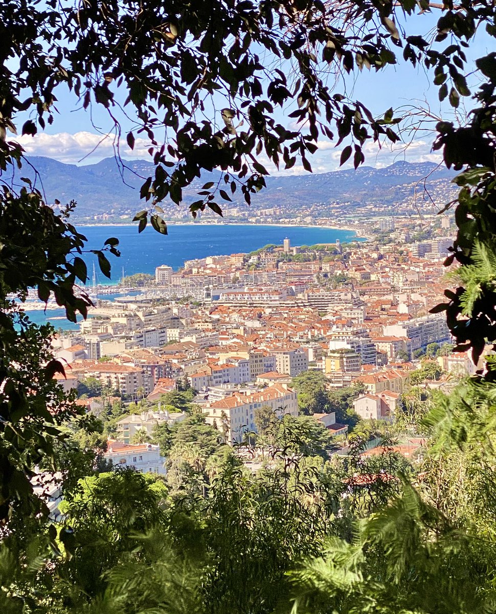 Thomas de Pariente tweet media