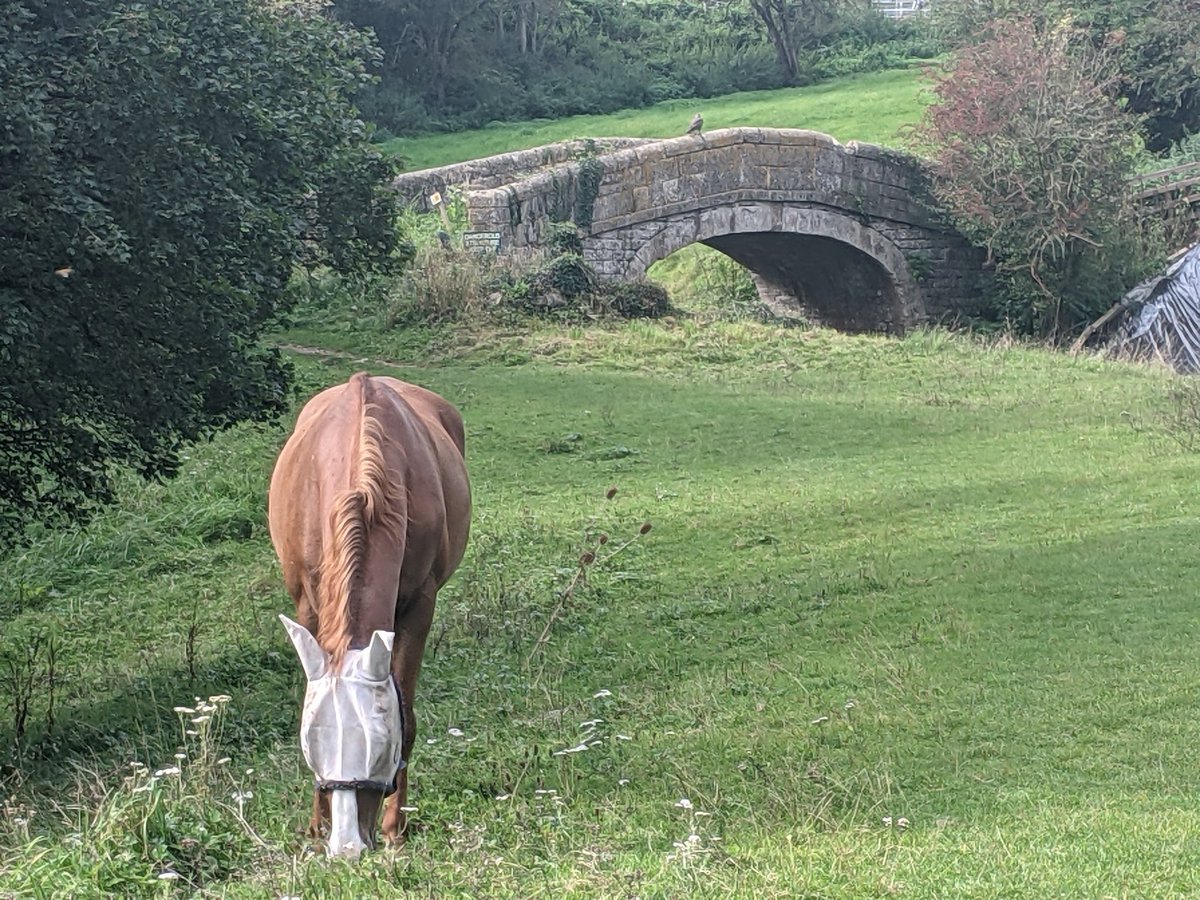 IanBarrettSW's tweet photo. Walking the old Somerset Coal Canal #LimestoneLink #30KsWilder https://t.co/RzGxzF1sxF