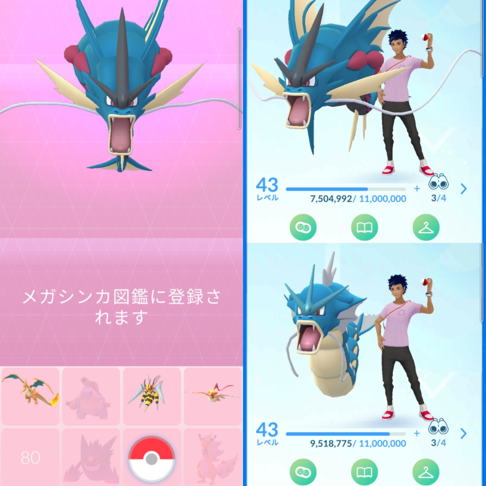 キア ポケgo倉敷 個体値maxゲットできたし 色違いもたくさん 36匹 出逢えたし メガギャラドスの図鑑登録できたし Xp2百万稼げたし とても有意義なコミュニティデイやった ポケモンgo コミュニティデイ ミジュマル 個体値100 色違い メガ