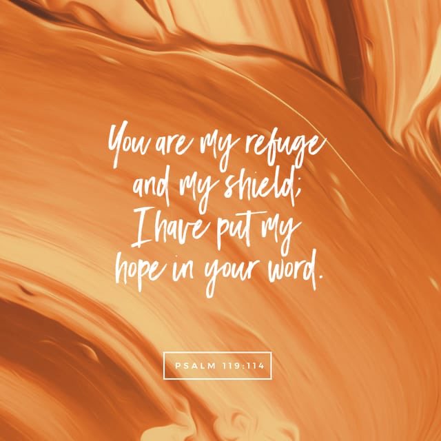 psalm.bible/psalm-119-114